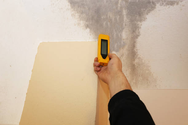 Best Commercial Mold Inspection  in Villas, NJ