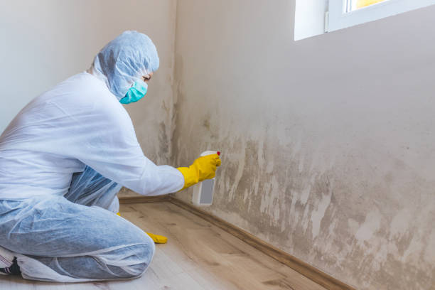 Best Industrial Mold Remediation  in Villas, NJ
