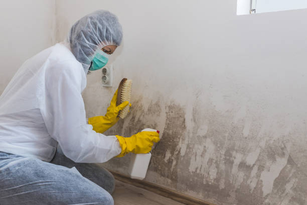 Best Emergency Mold Remediation  in Villas, NJ
