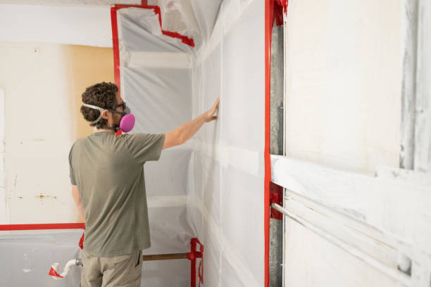Best Residential Mold Inspection & Testing  in Villas, NJ