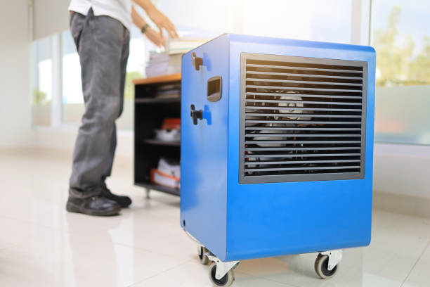 Best Mold Removal for HVAC Installations  in Villas, NJ