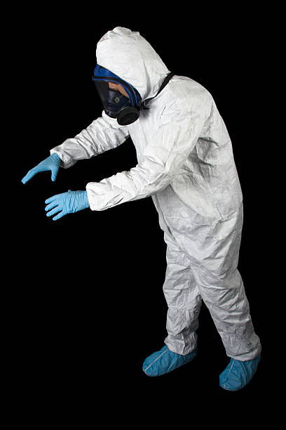 Professional Mold Removal in Villas, NJ