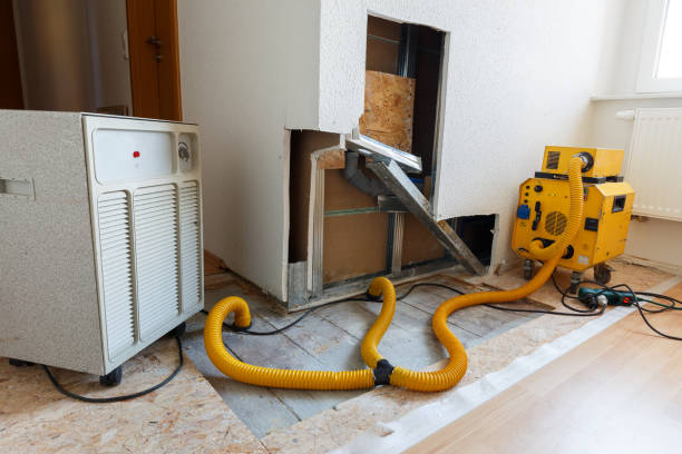 Best Mold Odor Removal Services  in Villas, NJ