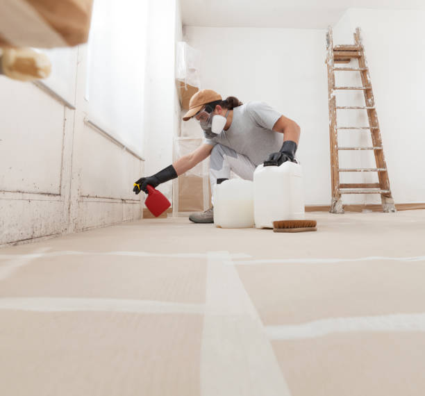 Best Dehumidification Services  in Villas, NJ