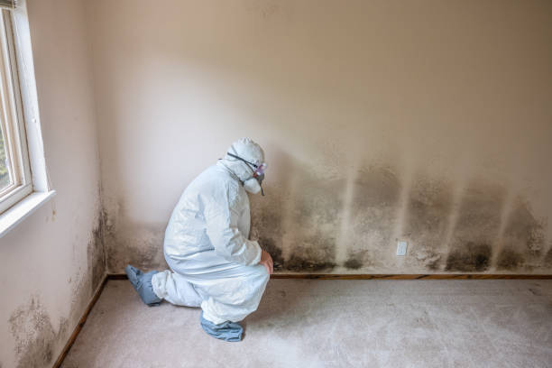 Best Air Quality Testing for Mold Spores  in Villas, NJ