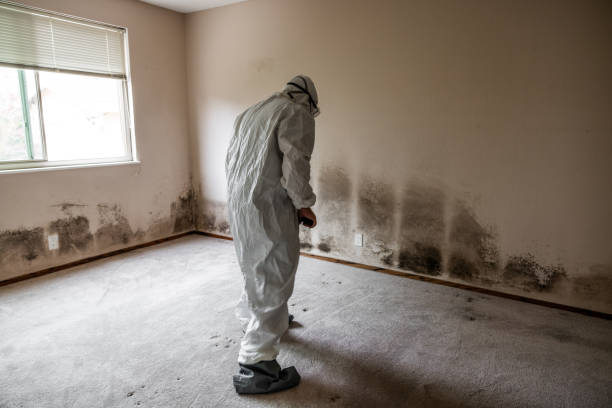 Best HVAC Mold Inspection and Cleaning  in Villas, NJ