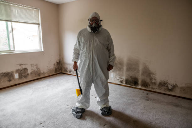 Biohazard Mold Removal in Villas, NJ
